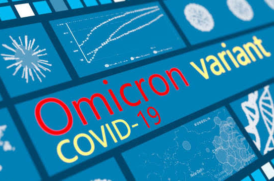 Market Review - November 2021